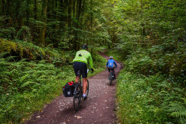 Cyclists travel an ancient forest road that fairies and leprechauns have inhabited for centuries