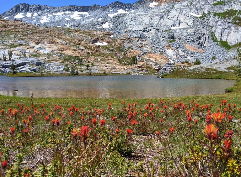 Paintbrush and lakes were abundant on the descent from Red Peak Pass