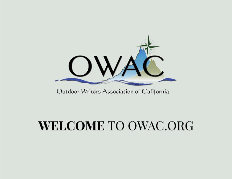 OWAC website presentation1