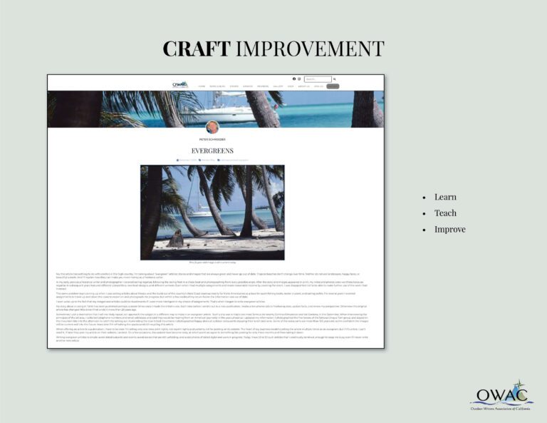 OWAC website presentation12