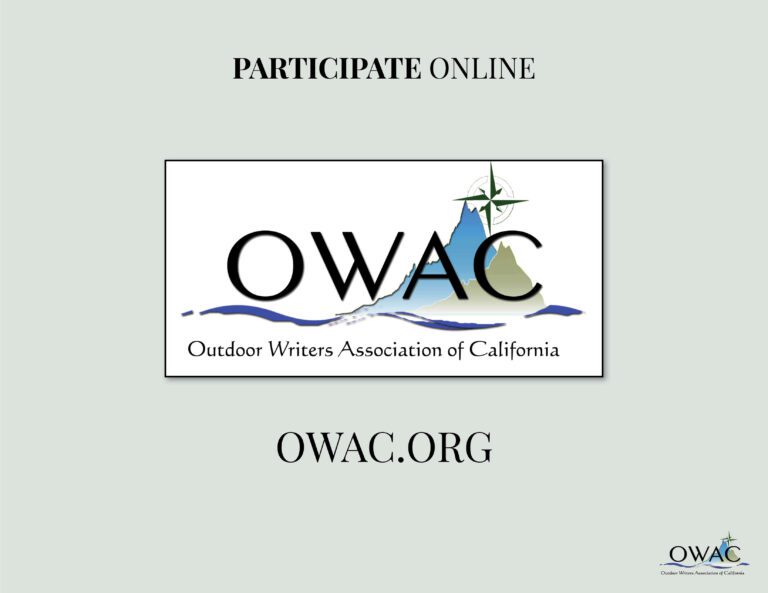 OWAC website presentation17