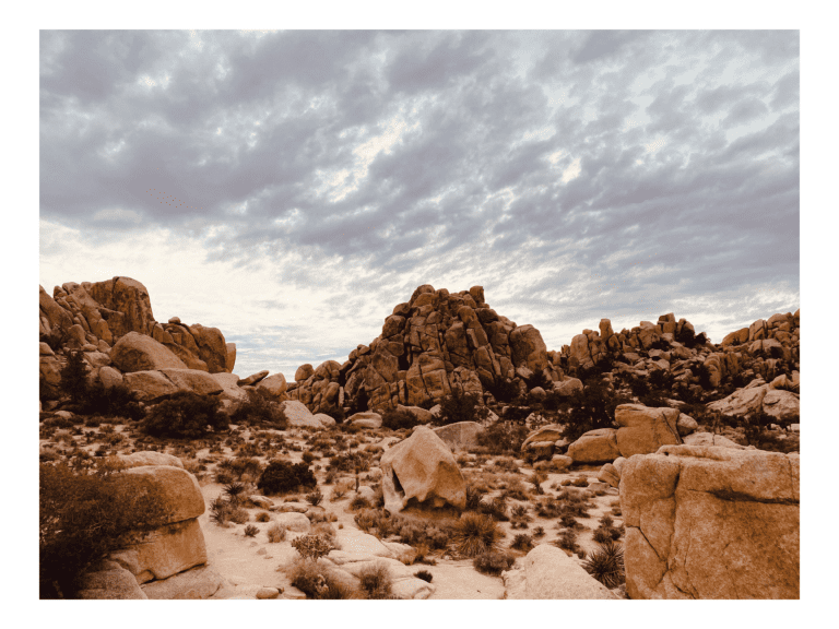 Essence of California - Portfolio 3