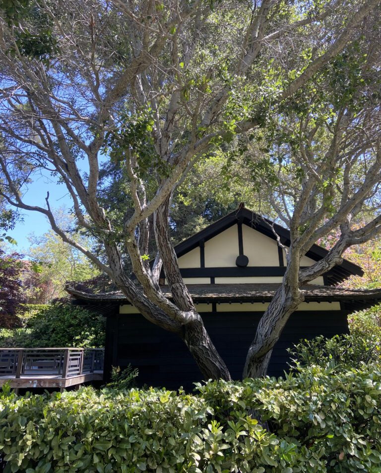 Japanese Teahouse in Piedmont Park