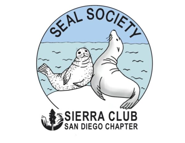 Practice responsible wildlife viewing and help volunteers with the San Diego Seal Society