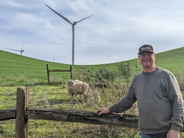 Ian Anderson, and his employees, grows wheat and graze sheep under the aegis of E.A. Anderson and Son Ranch