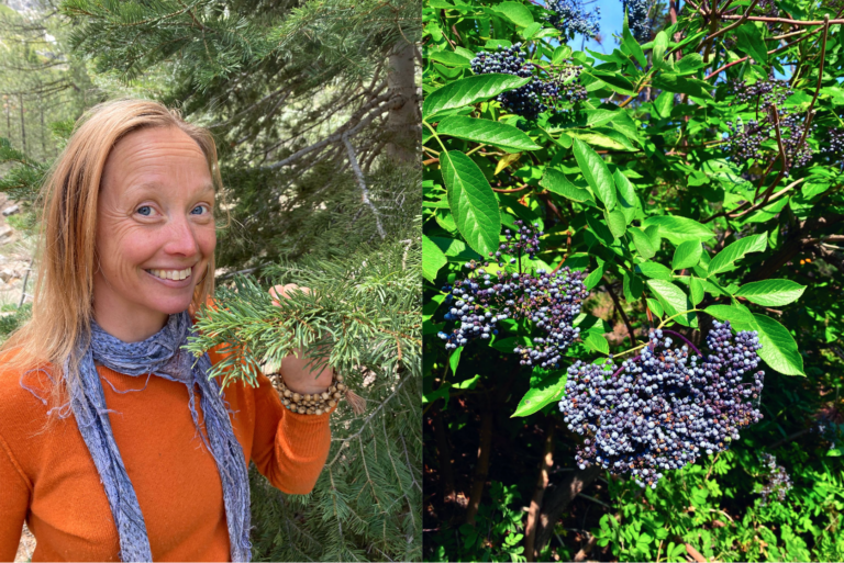 Mia Andler teaches how to find and cook edible plants like elderberries.