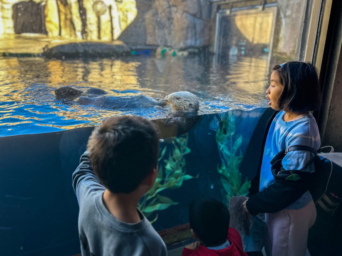 Take a Deep Dive While Staying Dry