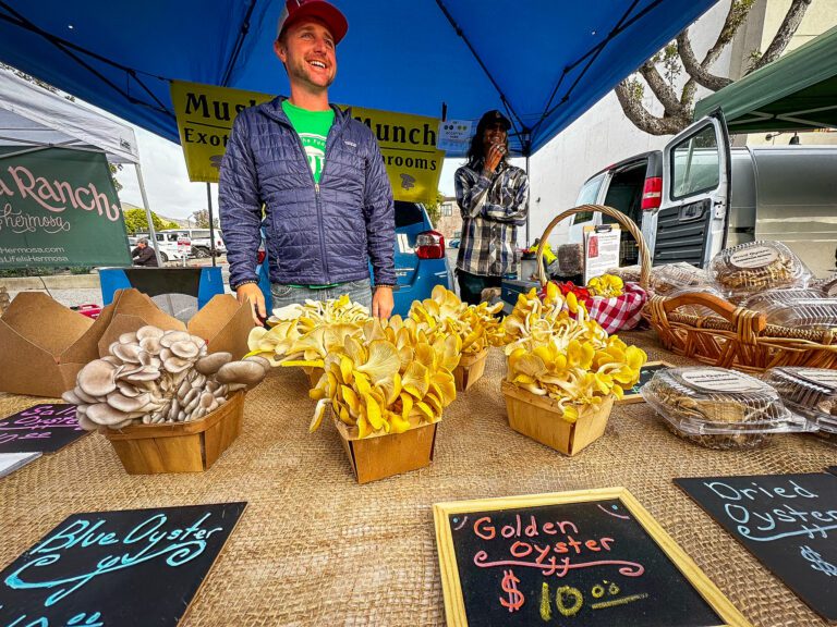 The Downtown SLO Farmers’ Market, got started 40 years ago to curb cruising by teenagers. Downtown merchants reasoned if the main drag was closed for a family-friendly farmers’ market, the cruising would stop. It worked, and then some.