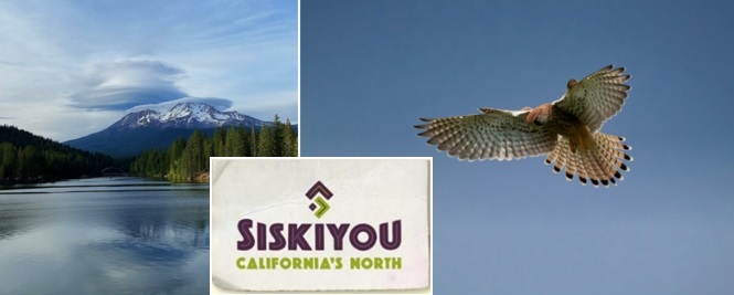 Siskiyou County birding destinations