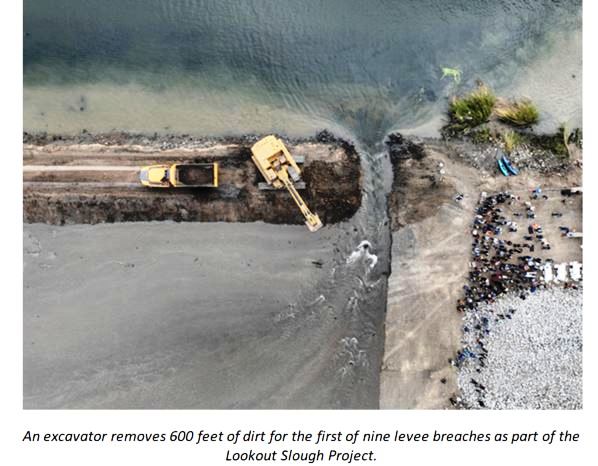 Delta breach at Lookout Slough Courtesy for CDWR