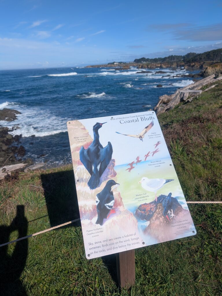 Mendocino Botanical Garden Credit: AreYouThatWoman.com