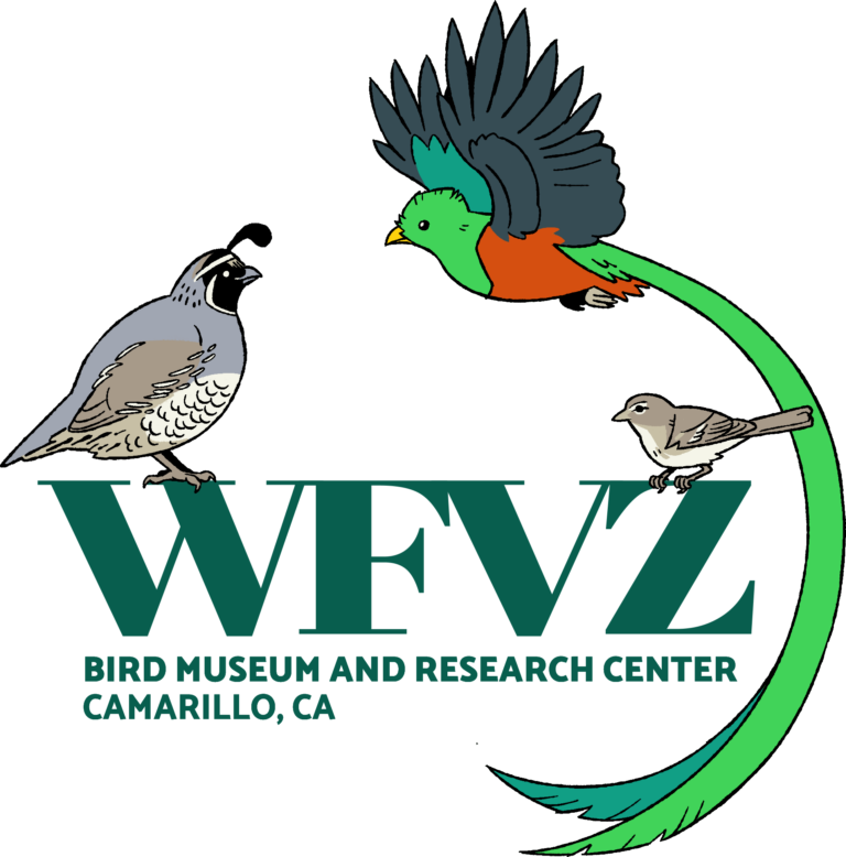 WFVZ Museum Logo