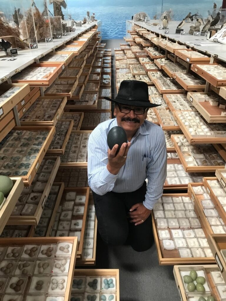 Courtesy of WFVZ - René Corado, Collections Manager