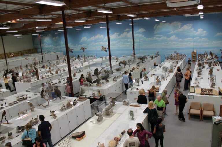 Courtesy of WFVZ - Open house at the museum