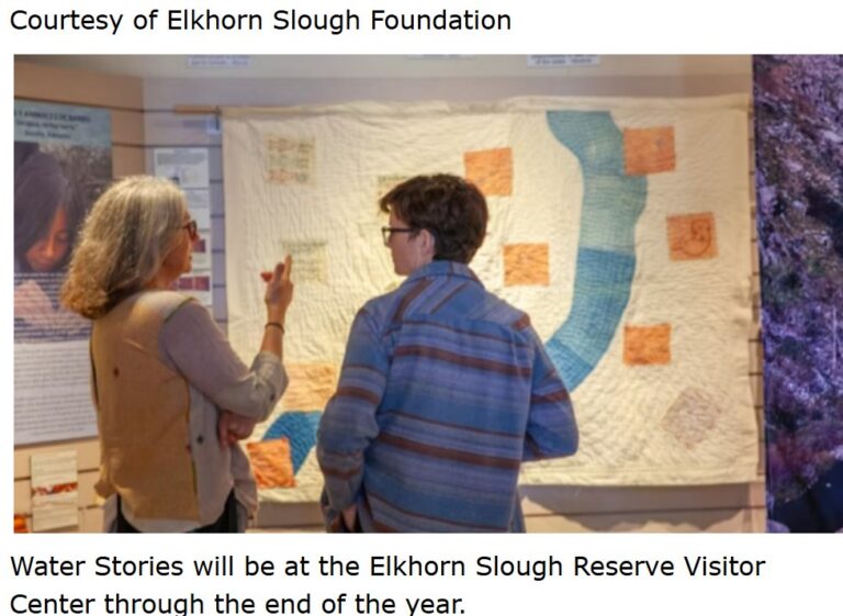 Courtesy of Elkhorn Slough Foundation Water Stories
