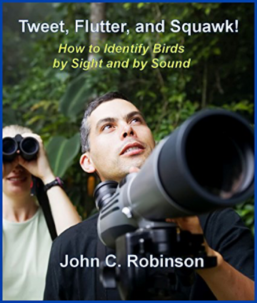 Tweet-Flutter-and-Squawk-John-C-Robinson