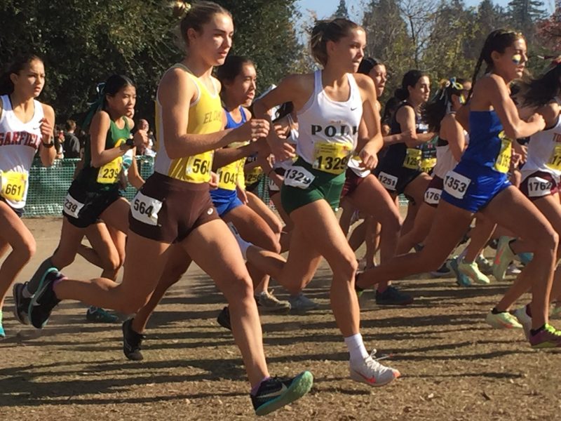 High schoolers race at the California Cross Country Championships.